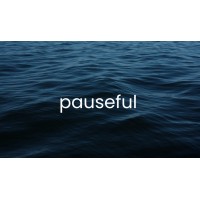 pauseful logo - Similar company to Overcomers Support Services