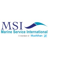 Marine service International AS logo - Similar company to Ipetro Academy