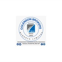 Colenson Brokers Nigeria Limited logo - Similar company to Leaf Mngmt Llc