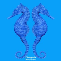 Linergents Shipping Ltd logo - Similar company to Ipmit D.O.O.