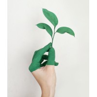 iNvestwise Advising logo - Similar company to Goodaction