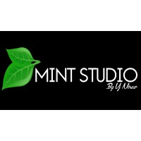 Mint Studio By VJ Nirav logo - Similar company to Mint Studio Co.