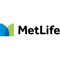 METLIFE PLAYA DEL CARMEN logo - Similar company to Teknobike Playa Del Carmen