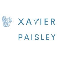 Xavier Paisley logo - Similar company to Fingle Technologies