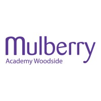 Mulberry Academy Woodside logo - Similar company to Fibre It Solutions