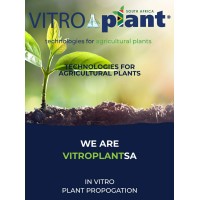 Vitroplant SA logo - Similar company to Chatlat