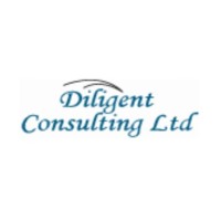 Diligent Consulting Ltd logo - Similar company to Jenga