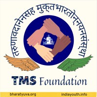 TMS Foundation logo - Similar company to Audio Ai