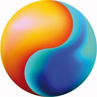 FIDEC MCP logo - Similar company to Sn Rouger