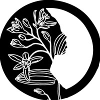 Sao-My logo - Similar company to Buzzpack.Eu