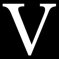 Vangard IT logo - Similar company to Intelli-Net