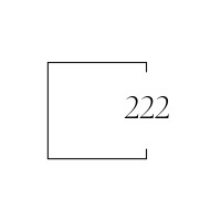 222 Vision logo - Similar company to Youbots.Ai