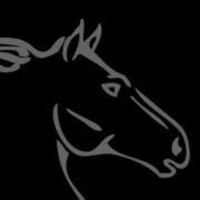 Stallion Construction Group Inc. logo - Similar company to Zokaee Studio