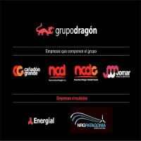 GRUPO DRAGON (ARGENTINA) logo - Similar company to Gmr Oil Servicies S.R.L