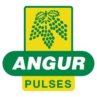 Angur Pulses logo - Similar company to Kk Techsoft