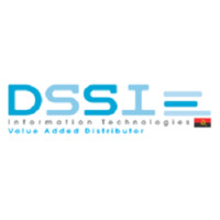 DSSI Angola logo - Similar company to Rumos Angola