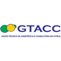 Gtacc Consultoria