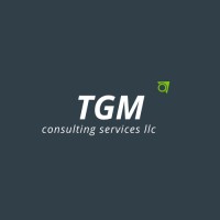 TGM Consulting Services, LLC logo - Similar company to Kiberneti Ltd