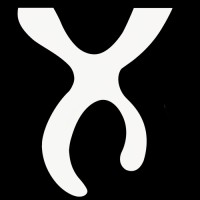 Nexcel Ltd logo - Similar company to Perceptum