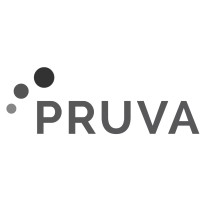 Pruva y Asociados S.C. logo - Similar company to Lanza  - Landa Zambrano Asociados