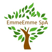 EmmeEmme S.p.A. logo - Similar company to Ad Associati
