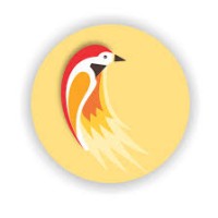 sparrow softwares logo - Similar company to Kashi Software Solutions