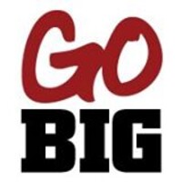 Go Big Recruiting logo - Similar company to Accidentally On Purpose