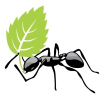 Worker Ants Media logo - Similar company to Witwyse