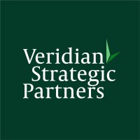 Veridian Strategic Partners logo - Similar company to Bertner Advisors, Llc
