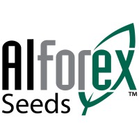 Alforex Seeds Alfalfa logo - Similar company to Ukrainian Alfalfa Llc