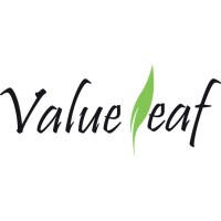 Valueleaf logo - Similar company to Valueleaf Services (India) Pvt. Ltd.
