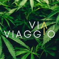Via Viaggio logo - Similar company to Wolfpack Fitness