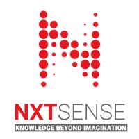 NXTSense logo - Similar company to Compnova Solutions India Private Limited