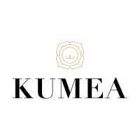KUMEA logo - Similar company to Digitalizers