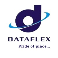 DATAFLEX NIGERIA LIMITED logo - Similar company to Estree Afrocentric