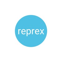 Reprex: big data that works for all logo - Similar company to Infinite Observations