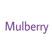 Mulberry Media & Marketing logo - Similar company to Socity