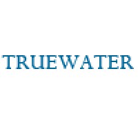 TRUEWATER - IT for Business logo - Similar company to Ateam Tech Services