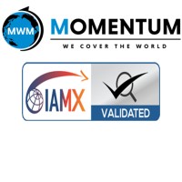 Momentum Worldwide Movers Co., Ltd. logo - Similar company to Look Studios