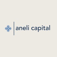 Aneli Capital logo - Similar company to Sheeo Foundation