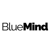 BlueMind Management Consulting logo - Similar company to Blue Mind Consulting