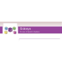 Sciosys logo - Similar company to Sciosys