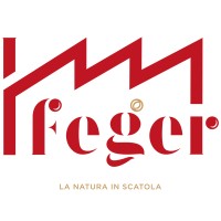 FEGER DI GERARDO FERRAIOLI SPA logo - Similar company to De Clemente Conserve Spa