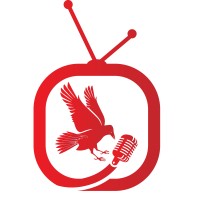 Brussels Crow