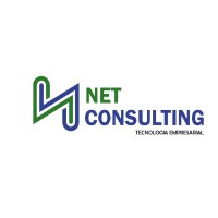 Net Consulting logo - Similar company to Net Consulting