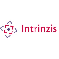 Intrinzis - Zelfleiderschap In Bedrijf