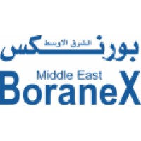 Boranex Middle East LLC logo - Similar company to Savvytech Limited