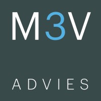 M3V Advies & Management logo - Similar company to Netwerkpassie