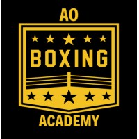 AO Boxing Academy logo - Similar company to Prime Time Fitness & Boxing Academy