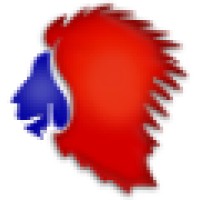 Realcom Infocom Private Limited logo - Similar company to Deeplearnhq